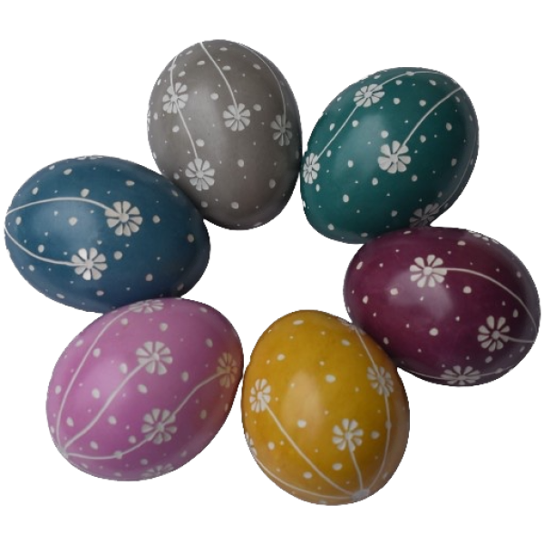 Eggs Daisy Flowers Tonal Colors Assorted