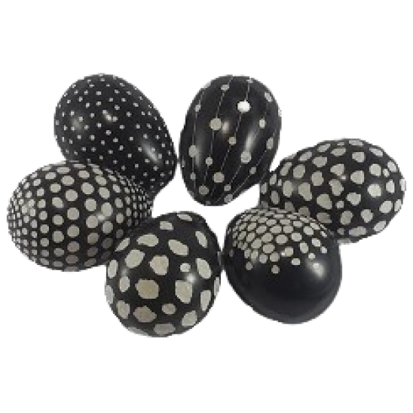 Eggs Dotted Line Black & White Assorted