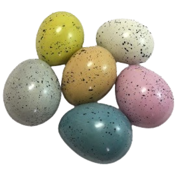 Eggs Splash Line Tonal Colors Assorted