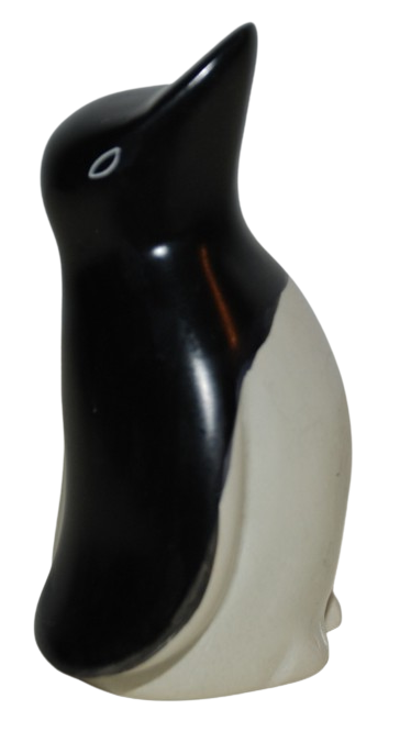 Bird Penguin
