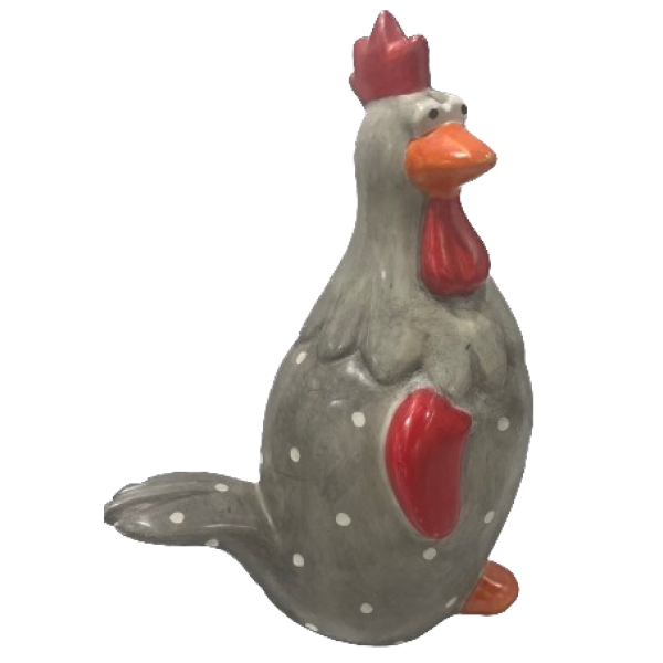Chicken Funky