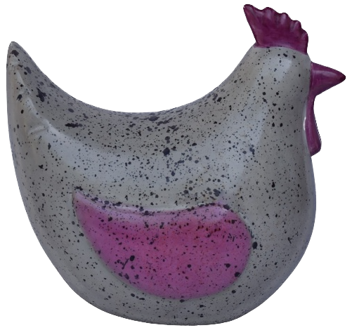 Chicken with Wings Splashed
