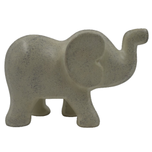 Elephant Walking