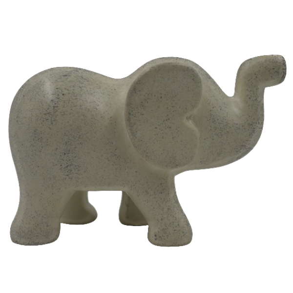 Elephant Walking