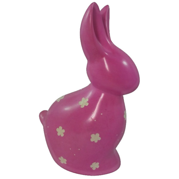 Rabbit Amy
