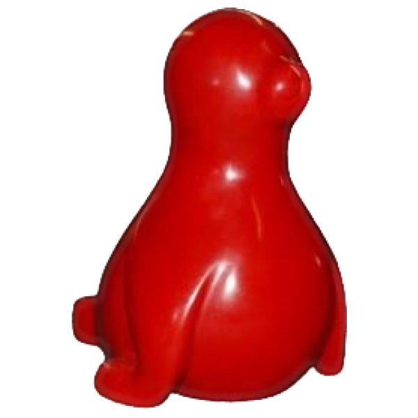 Seal Cute