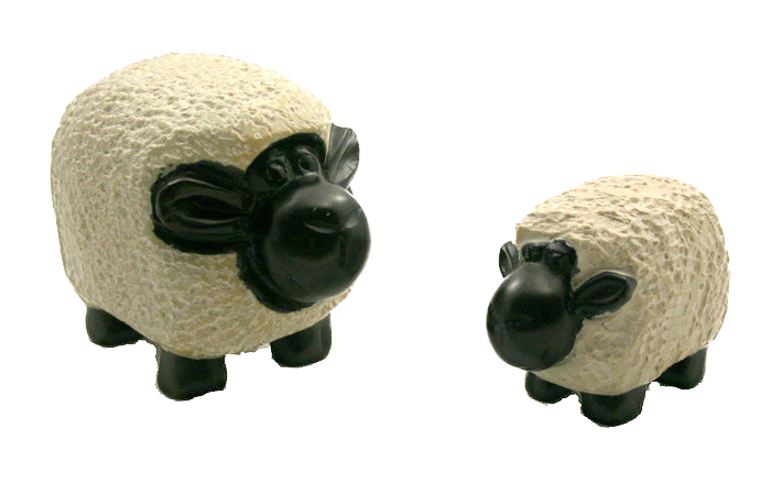 Sheep Mara Black Face